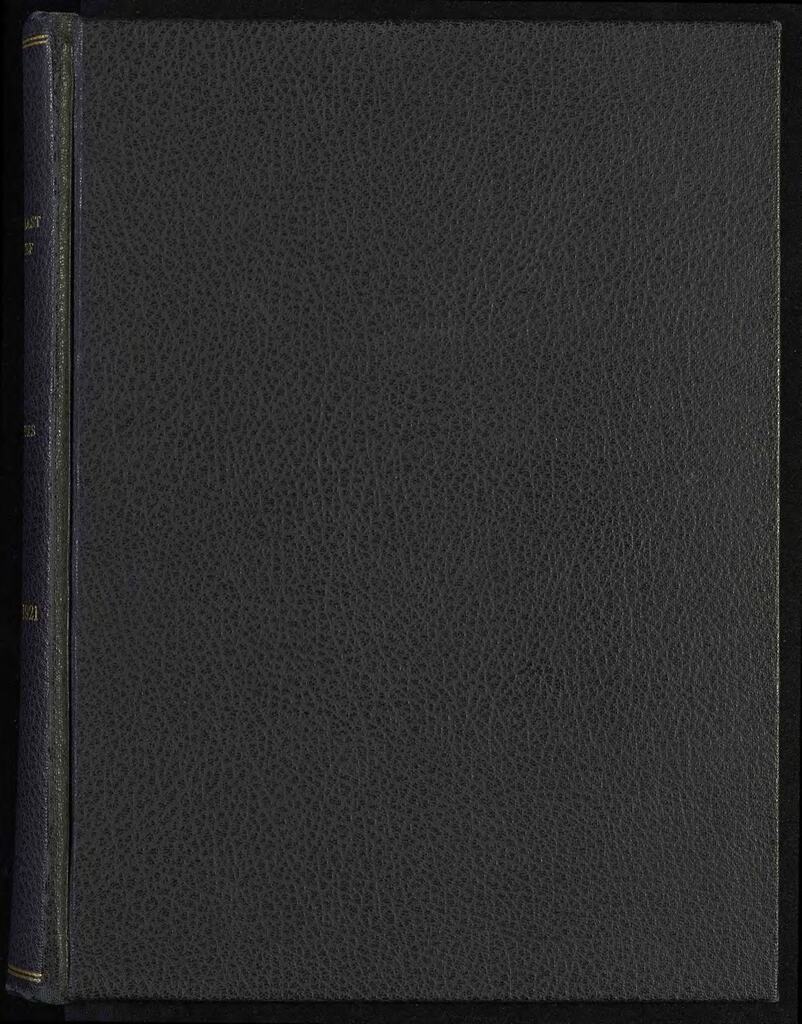 Minutes of the Near East Relief Board of Trustees and the Executive, Finance, and Special Committees, October 1920 – January 1922