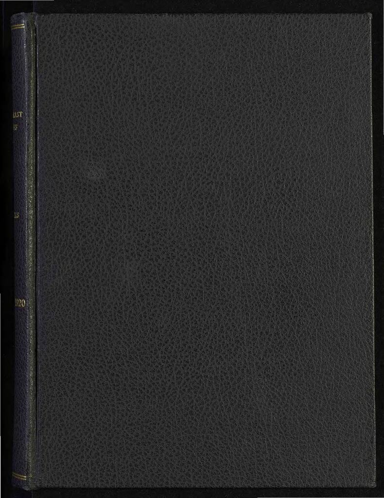 Minutes of the Near East Relief Board of Trustees, Executive Committee, and Finance Committee, October 1919 – October 1920