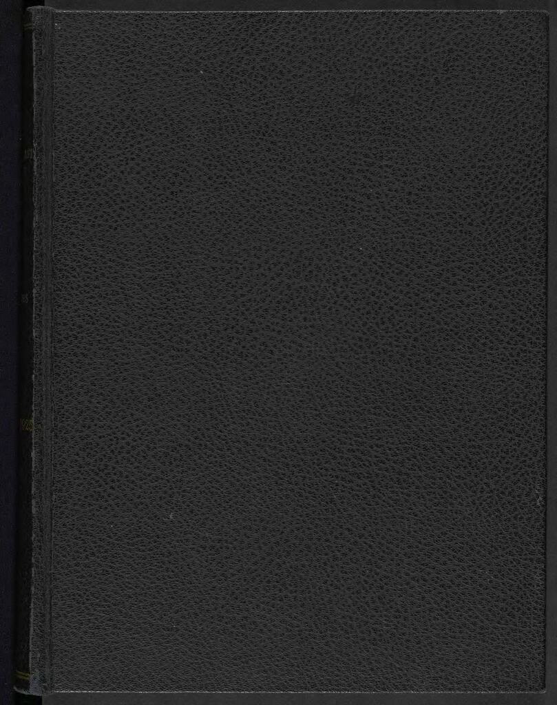 Minutes of the Near East Relief Board of Trustees, Industrial Committee, and Executive Committee, 1924 – 1925