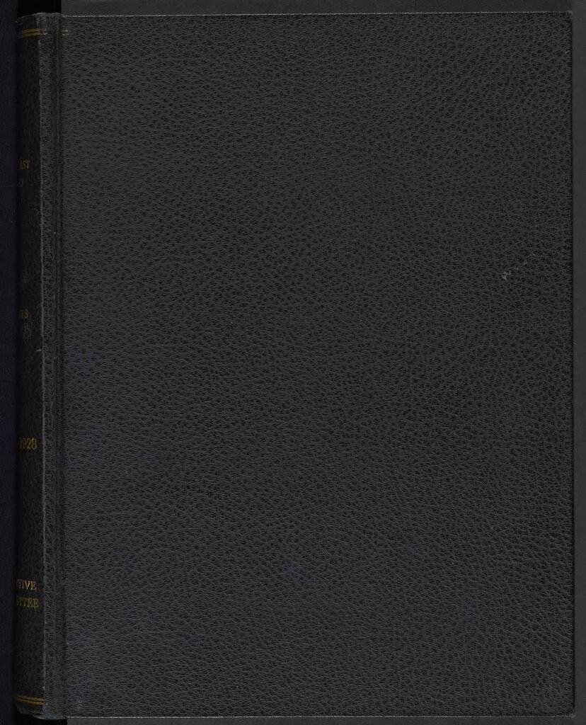 Minutes of the Near East Relief Executive Committee of the Board of Trustees, 1926 – 1928