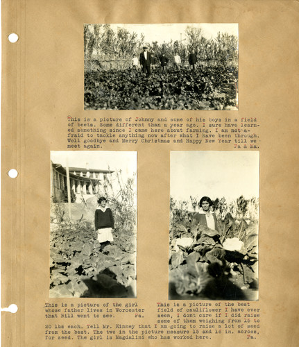 Johnny and his boys in a beet field at the orphanage farm