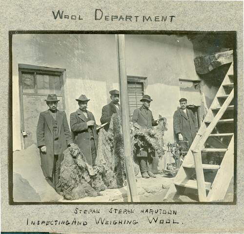 Wool Dept: Inspecting and weighing raw wool