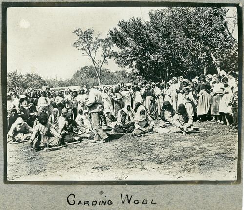 Wool Dept: Carding wool
