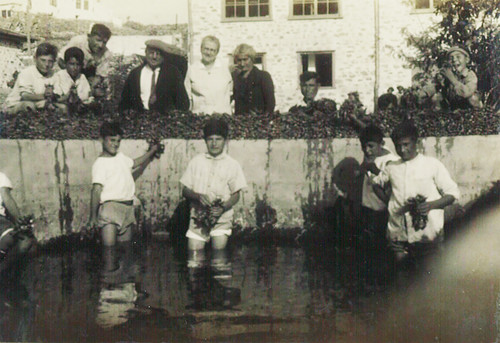 Orphan boys wash 10,000 radishes, Syra, Nov 1927