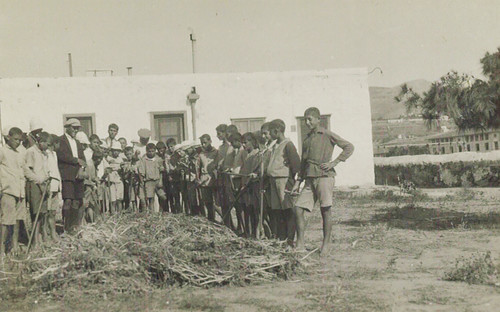 Fred Midgley teaches seed-drying, Syra, June 1927