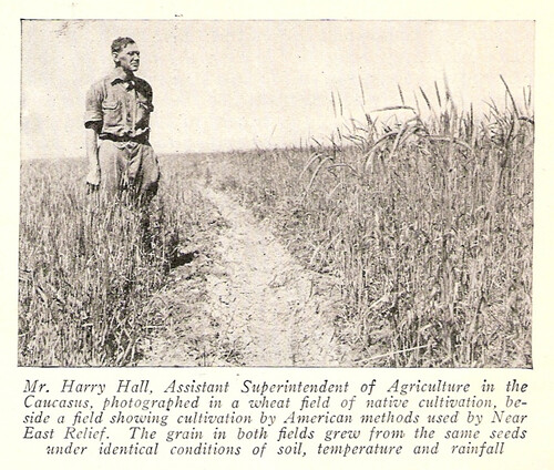 Harry Hall
