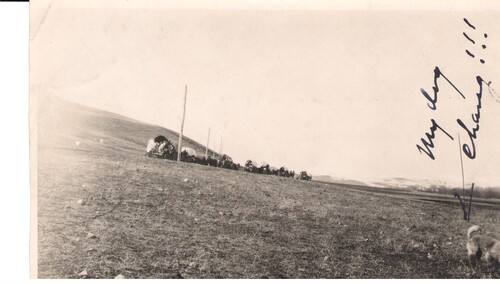 Moffett brings his convoy down to the Black Sea. Sivas, 1922–1923.